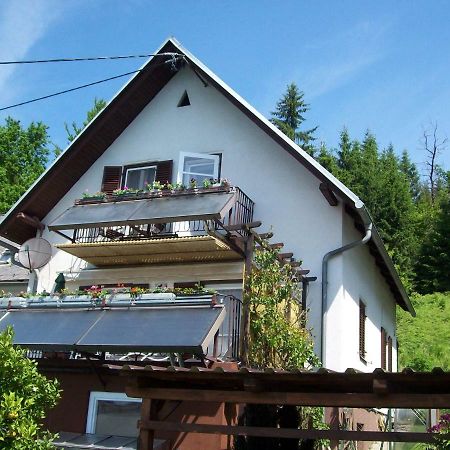Riedl Gaestewohnung Klagenfurt am Woerthersee Exterior foto